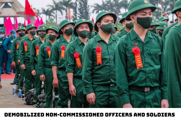 Vietnam: Who are the demobilized non-commissioned officers and soldiers ...