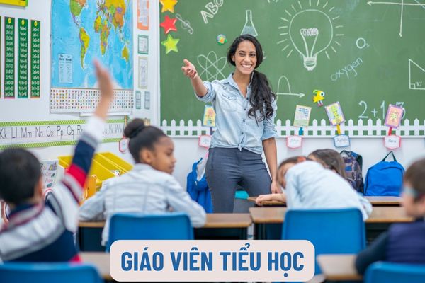 Trình độ chuẩn được đào tạo của giáo viên tiểu học là gì? Giáo viên trong trường tiểu học có nhiệm vụ như thế nào?